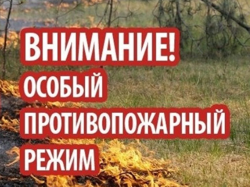 Особый противопожарный режим введен в Дагестане