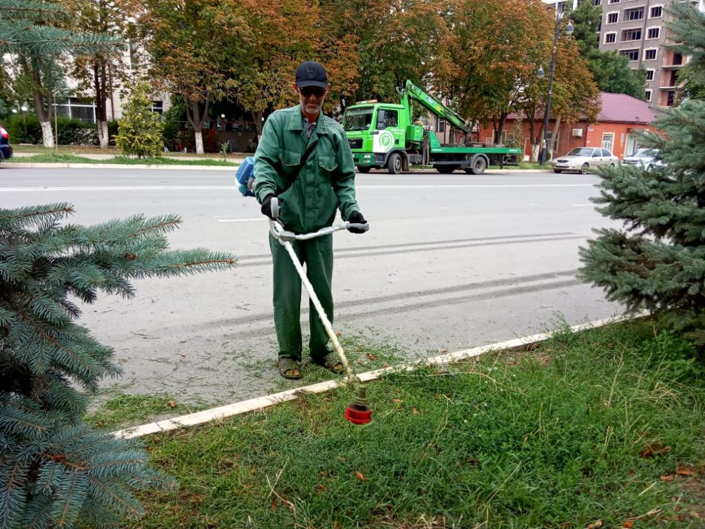 На улице Гейдара Алиева в Дербенте приступили к стрижке газонов