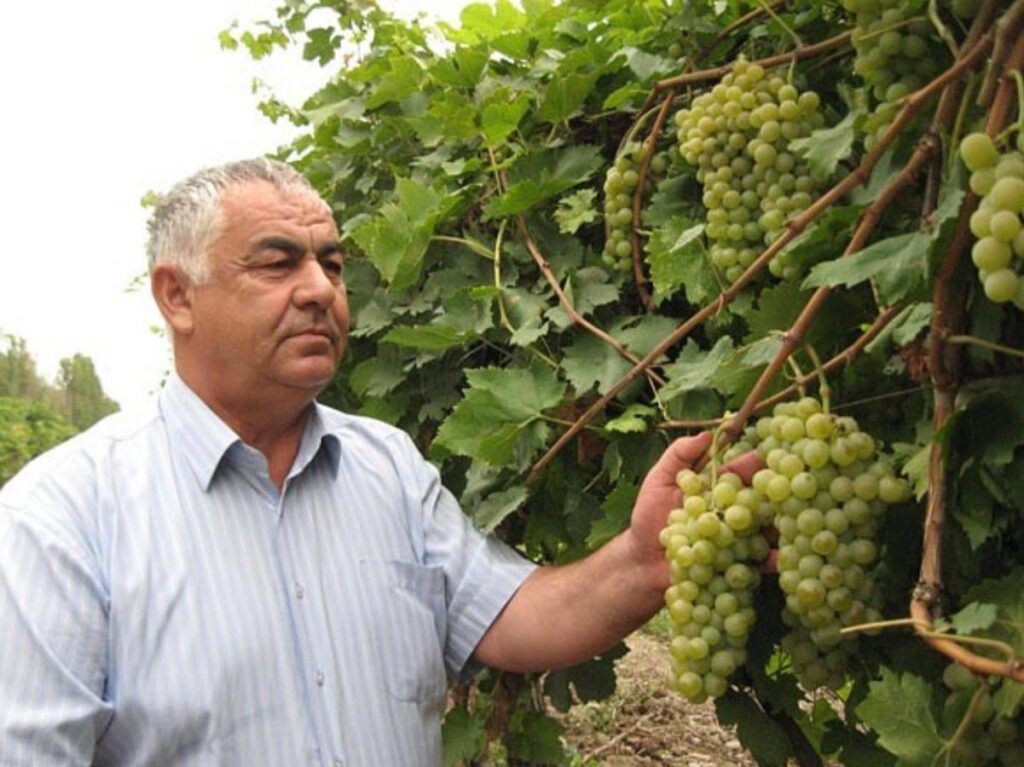 KAŞ SİZİN KİMİLƏR ÇOX OLAYDI…