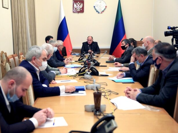 Спецкомиссию создадут в Правительстве РД для определения причин массовой гибели нерпы на Каспии