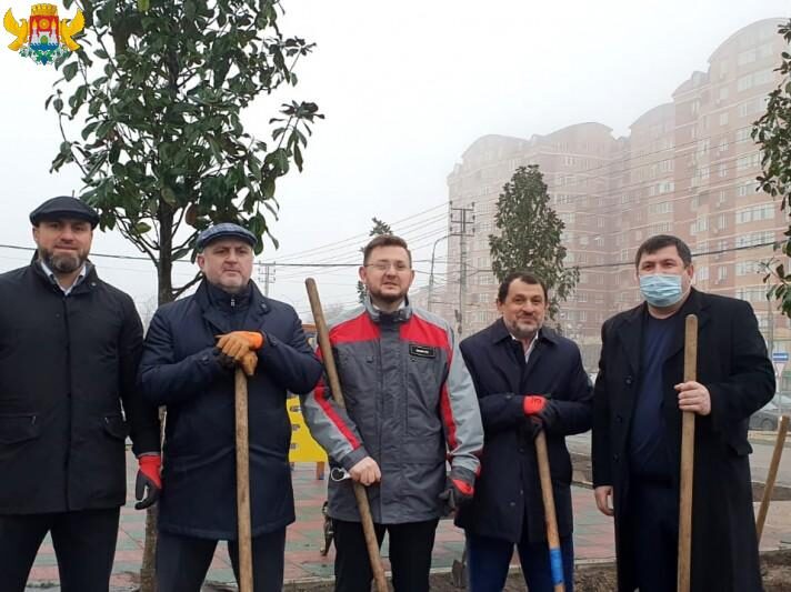 Махачкала готовится к 100-летию ДАССР: городские руководители высадили магнолии на проспекте Акушинского