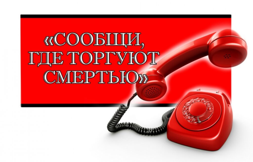 В Дагестане продолжает свою работу антинаркотическая горячая линия Минмолодежи