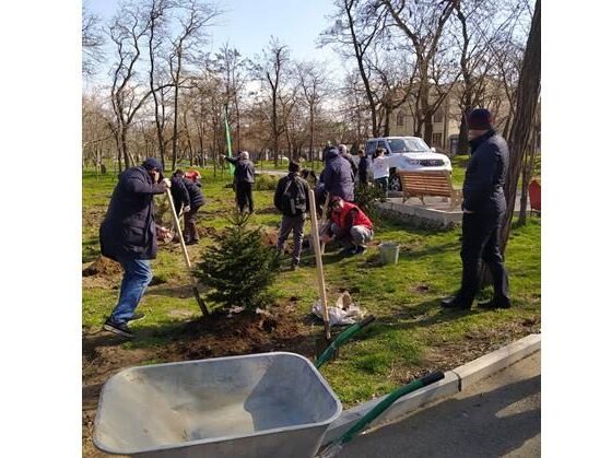 В рамках международной акции в парке имени Ленинского комсомола посадили более 50 деревьев