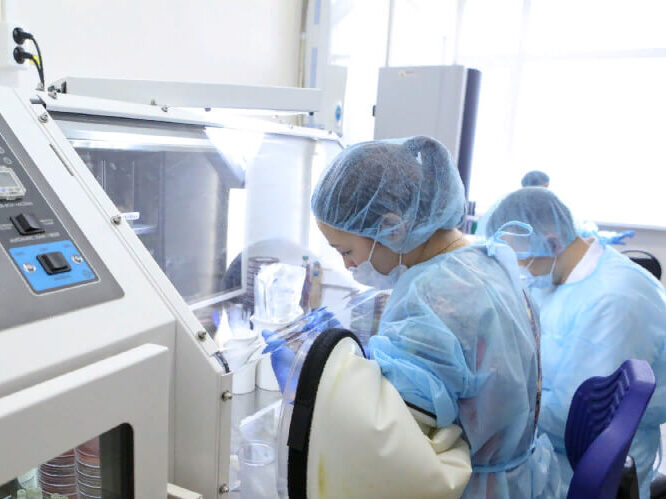 В России начались доклинические испытания назальной вакцины от COVID-19