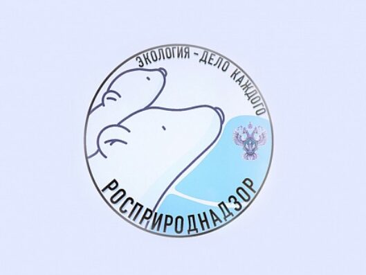 Международная детско-юношеская премия "Экология – дело каждого"
