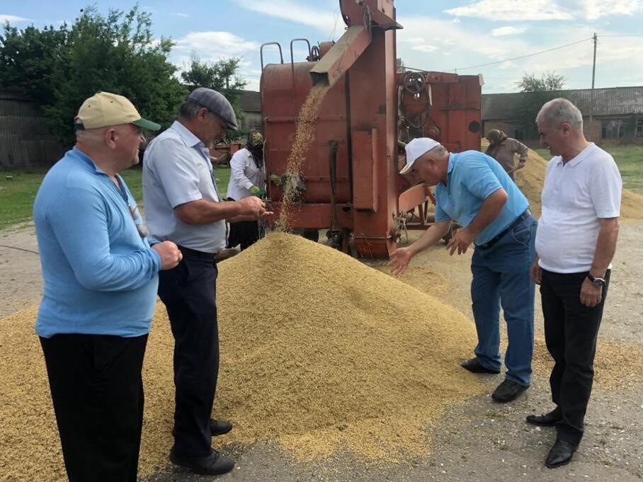 В Дагестане первыми в стране приступили к уборке зерновых