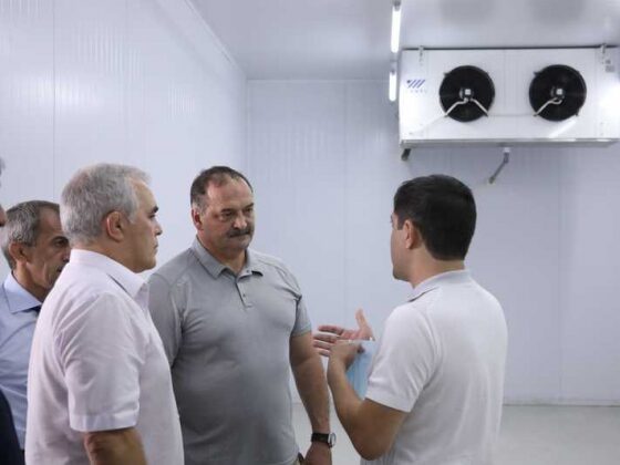 В Магарамкентском районе заработает в сентябре комплекс по забою скота