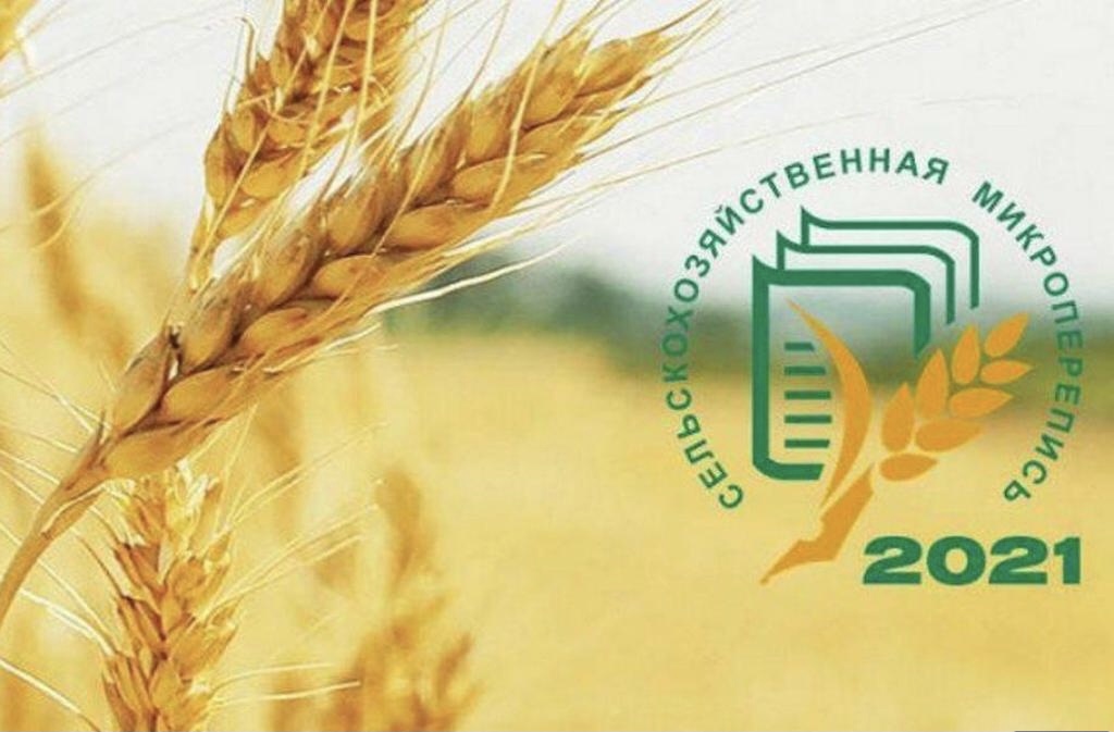 Микроперепись пройдут более 420 тыс. сельскохозяйственных объектов Дагестана