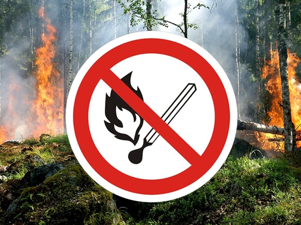 В Дагестане сохраняется противопожарный режим