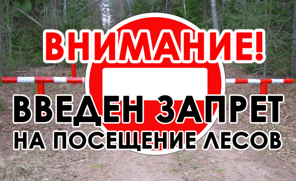 В  нескольких лесничествах Дагестана введен режим ограничения посещения леса