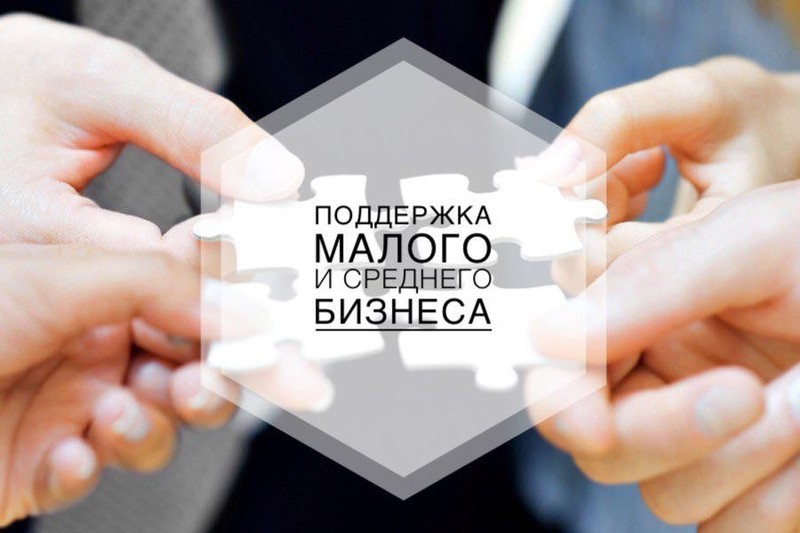 Правительство выделило дополнительно полмиллиарда рублей на субсидирование льготных кредитов для МСП
