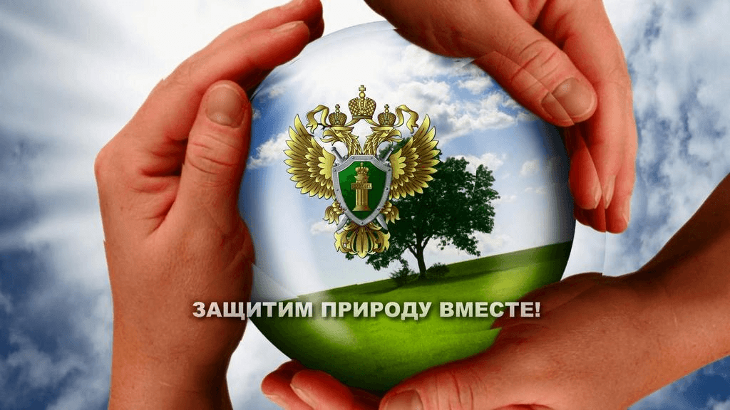 Межрайонной природоохранной прокуратурой города Дербент проводятся проверки о незаконной рубке зеленых насаждений
