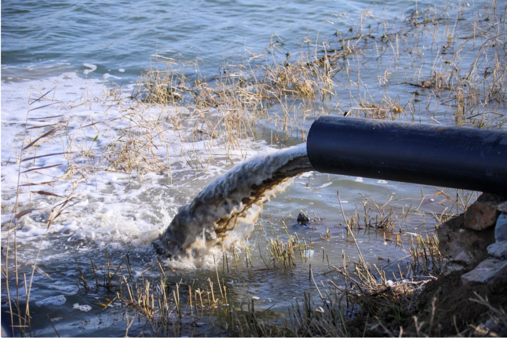 Долгожданная вода