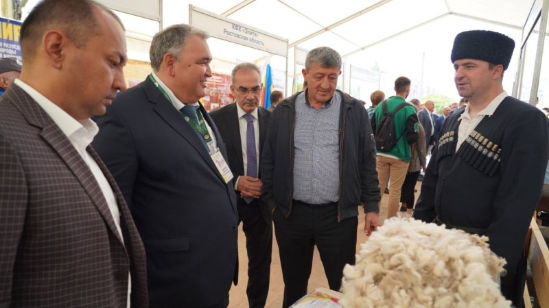 Dağıstan heyvandarları Ümumrusiya qoyun və keçisərgisində qalib olublar