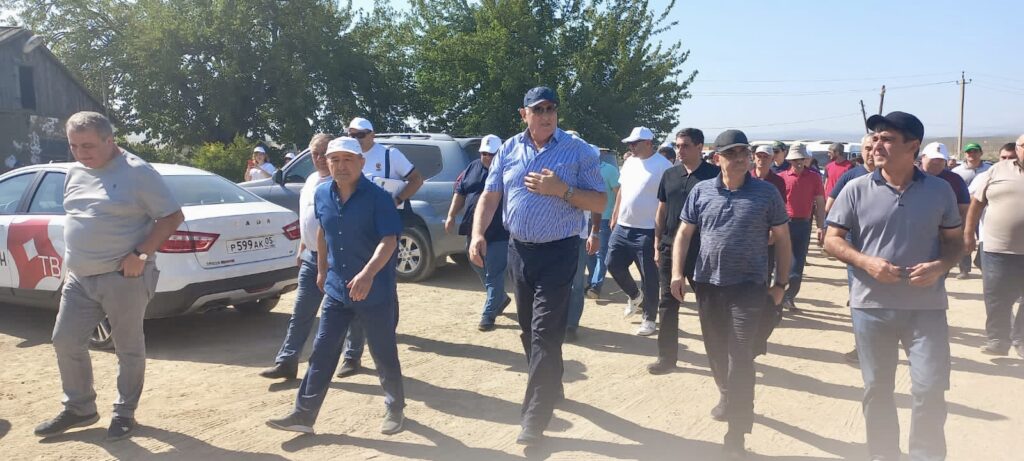 Üzüm yığımı