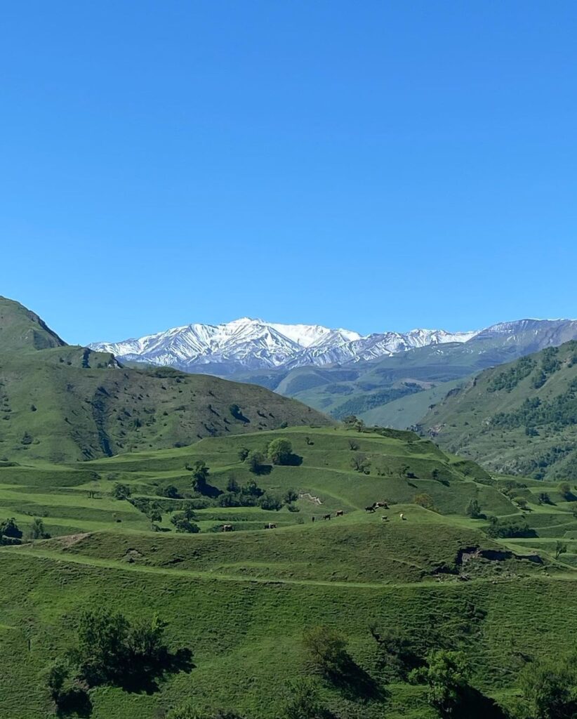 Turist axını davam edir