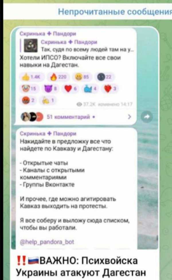 Митингами протеста в Махачкале управляют из Украины