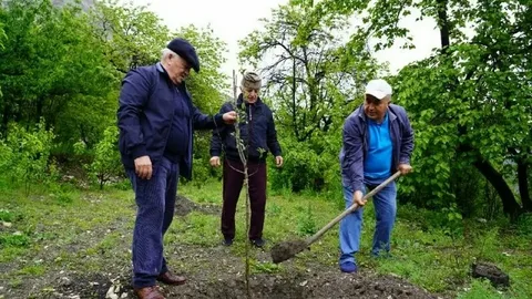 В Дагестане разбили фруктовый сад в честь погибших в СВО