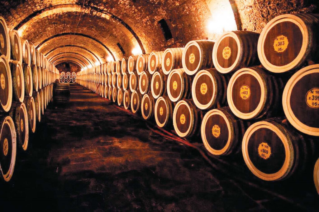 «Daqvino»nun 100 illik yubileyi
