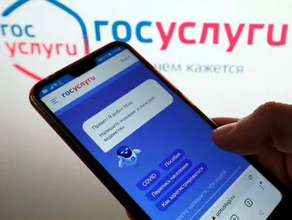 Для семей мобилизованных граждан и добровольцев в Дагестане заработал электронный сервис подачи заявок через единый портал госуслуг (ЕПГУ) по получению дополнительных мер социальных поддержек