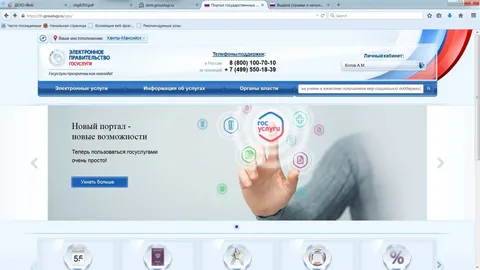 Семьи мобилизованных дагестанцев могут подать заявление на получение дополнительных мер соцподдержки через Госуслуги