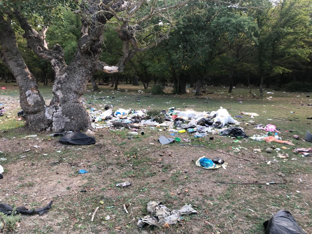 В Дагестане природоохранной прокуратурой в Магарамкентском районе выявлена несанкционированная свалка