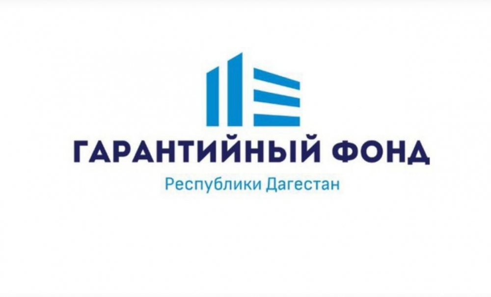 Рекордный показатель средств в 2022 году выдали финансовые организации Дагестанским предпринимателям