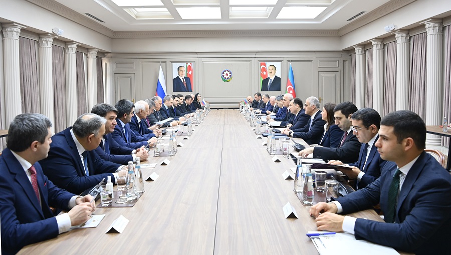 İşgüzar görüş