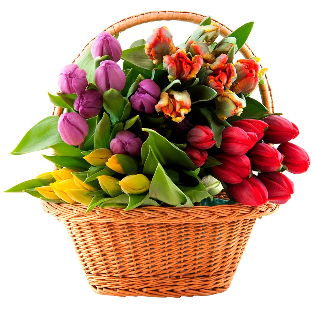 8 Mart- Bahar və sevgi bayramıdır!