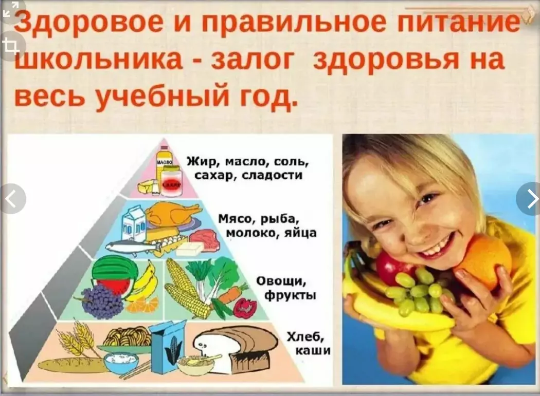Здоровое питание школьника